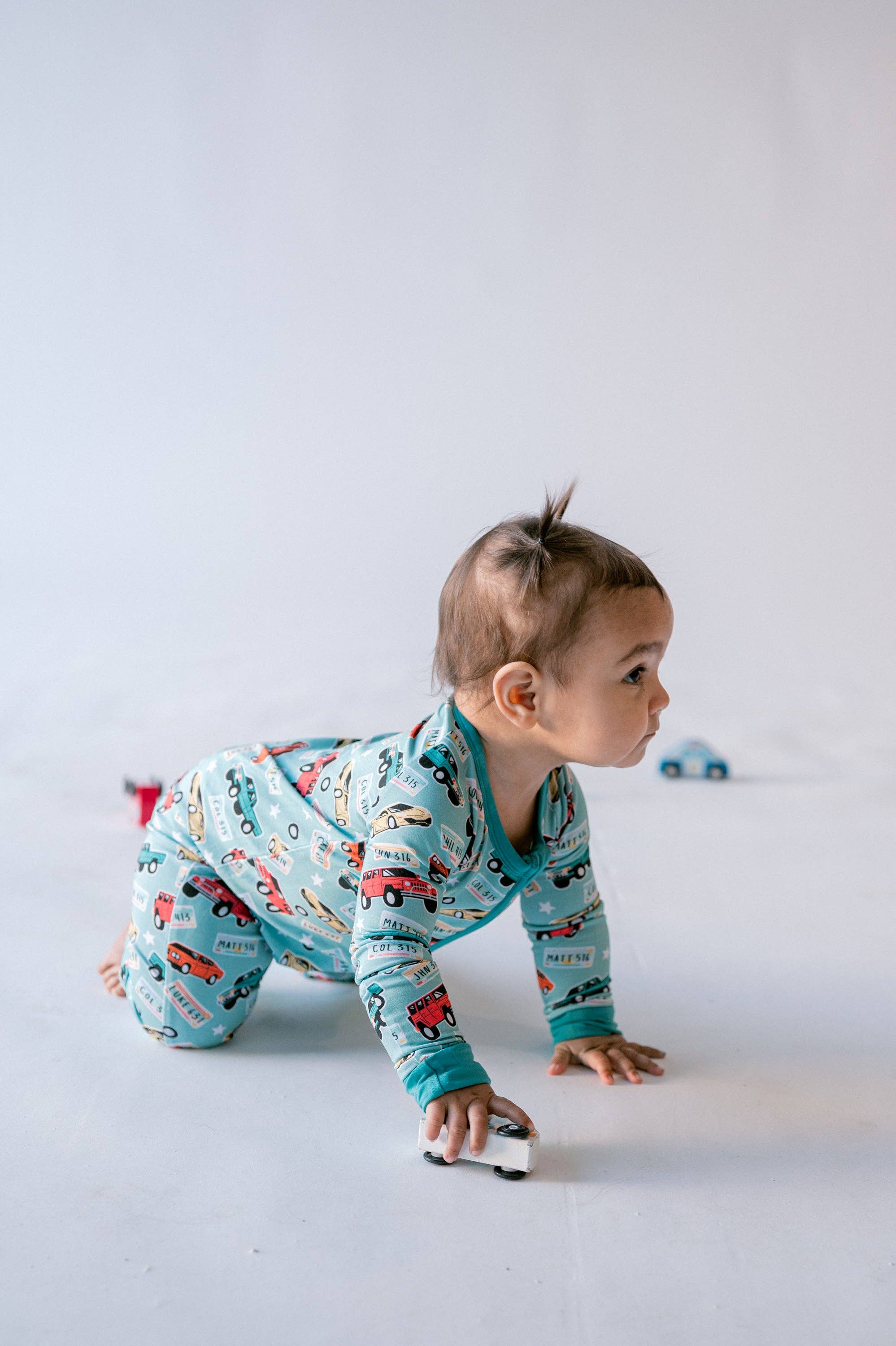 Fast and Faithful Zippy: 6-12 months