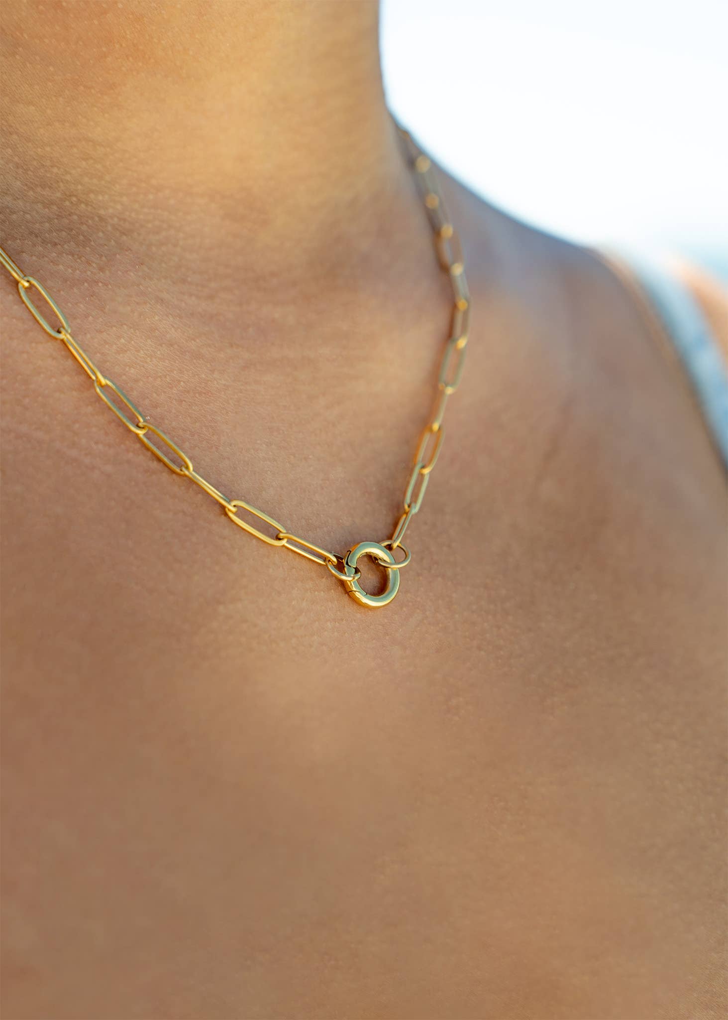 Stainless Steel Paperclip Carabiner Charm Holder Necklace: Gold / 16"+2"